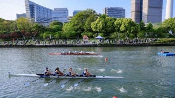 B体育app下载-桨韵苏河，逐梦前行！2026上海赛艇城市精英赛圆满落幕|普陀区|体育|赛事|苏州河|普陀_新浪体育_新浪新闻