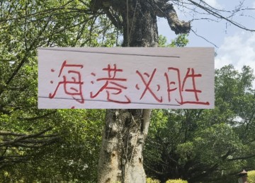 B体育app下载-前有奇塔 现有奥斯卡 海港旧将也喜欢度假途径母队